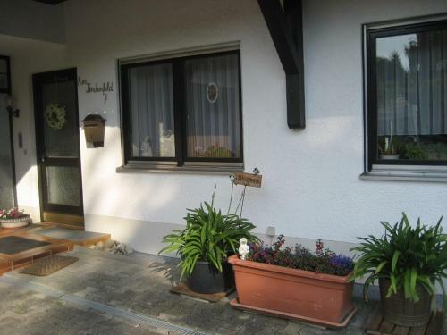 Apartamento Haus Sch�nberg