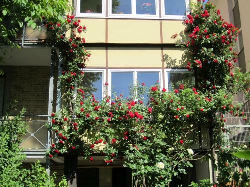 Apartamentos Kernerapartement