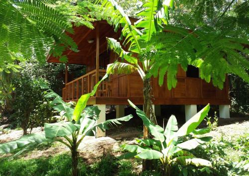 Rancho De Lelo Ecolodge & Sustainable Farm