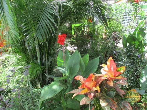 Villa Jungle