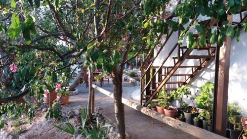 Agroturismo Posada Ni�a Margarita