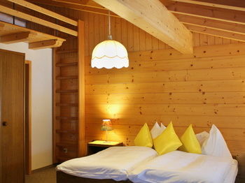 Hotel Alpina