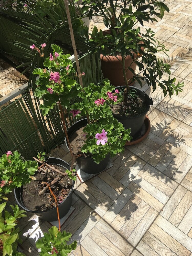 Hotel Guzel Izmir Oteli