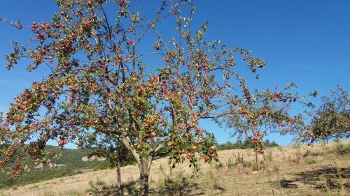 Apartamento Sulla Strada Di San Francesco