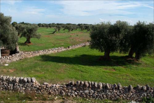 Masseria Lama D'impisa