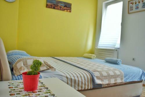 Apartamento Villa Jovan & Javor Dzoko