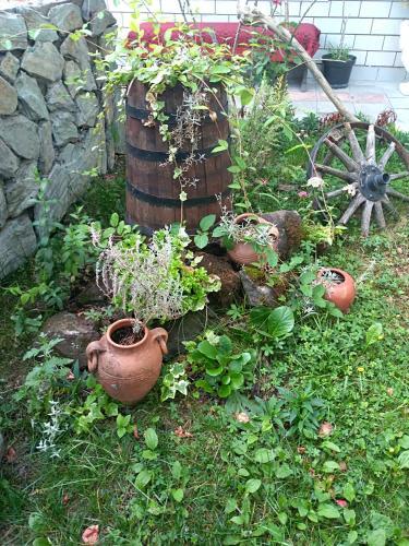 Apartamento Durmitor