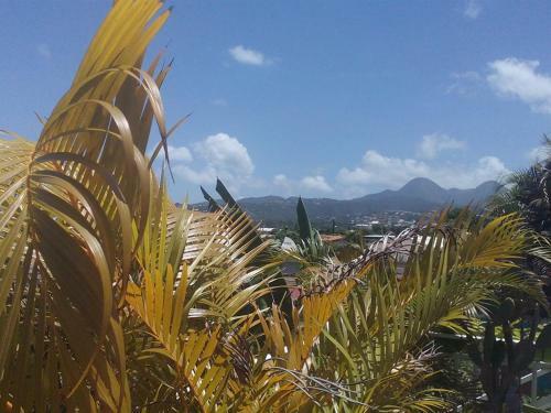 Bed & Breakfast Villa Eden Rock
