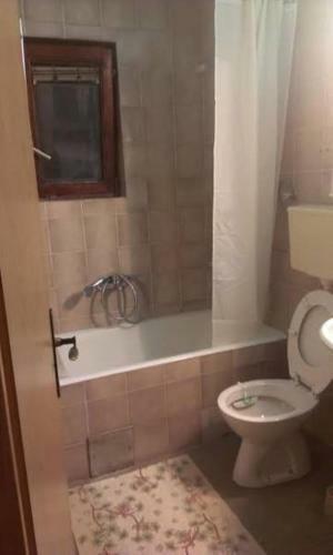 Apartments Milacic