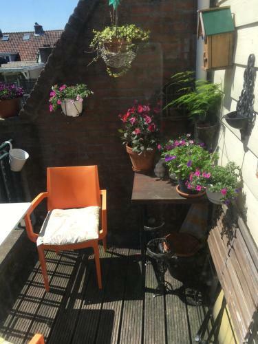 Hostal B&B Central