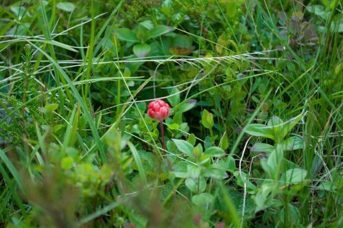Fyresdal Bed And Breakfast
