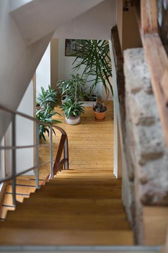 Bed & Breakfast Bernardinu St. Guest House