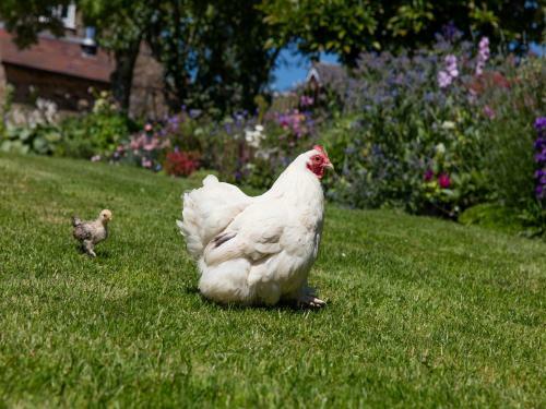 The Graig Bed & Breakfast Ludlow