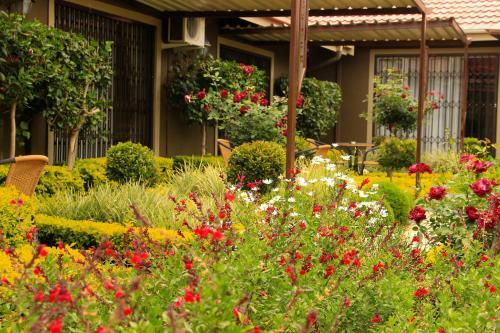 Hostal Avalon Guest Manor