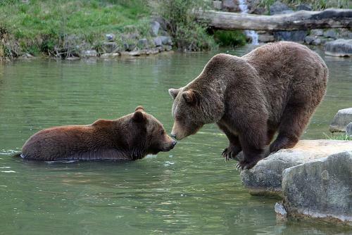 Hotel Langenberg