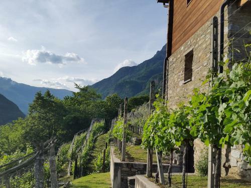 Agroturismo Holiday Home C� Sul�va