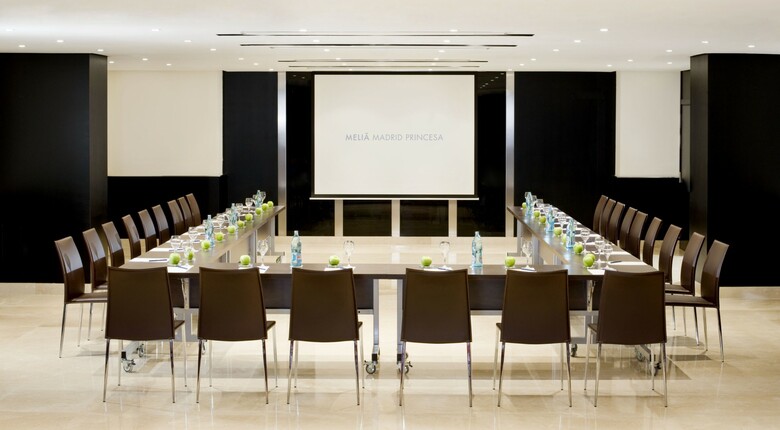 Hotel Meli� Madrid Princesa