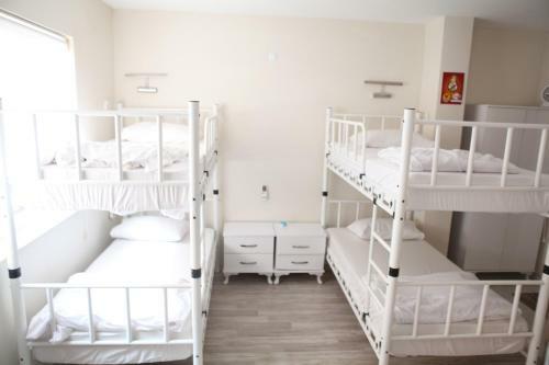 Rooster Hostel