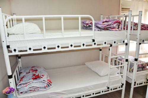 Rooster Hostel