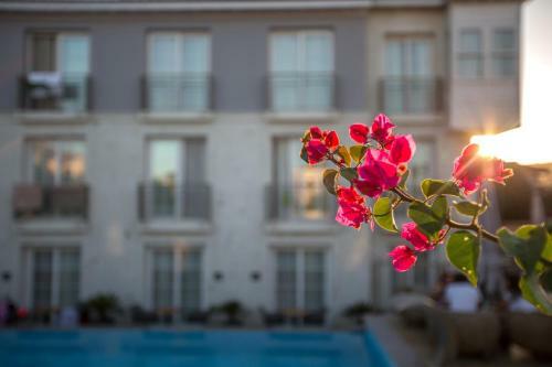 Hotel Alalucca- Adult Only