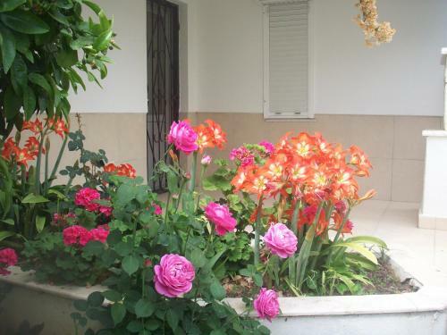 Apartamento Alis Camlik