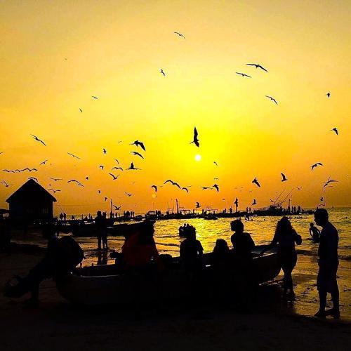 Hotel Holbox Casa Punta Coco - Adults Only