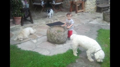 Agroturismo El Terrero
