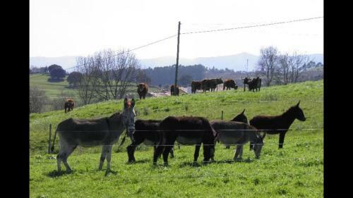 Agroturismo El Terrero