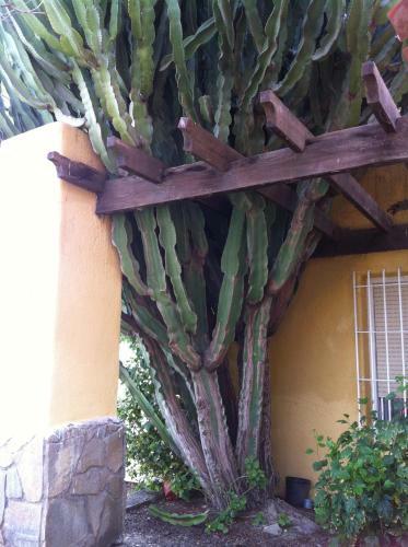 B&B Los Alamos