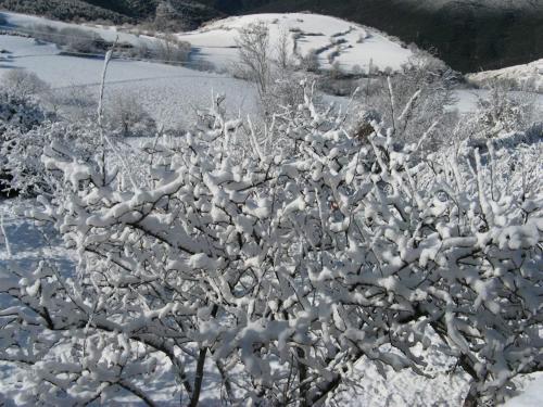 Apartamento Sort Experience, Live The Pyrenees