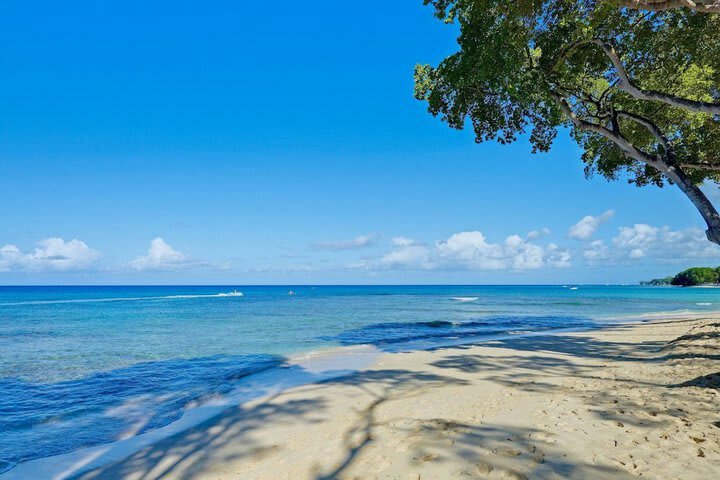 Hotel Tamarind Cove