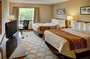 Hotel Comfort Inn (newmarket)