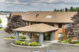Hotel Comfort Inn (newmarket)