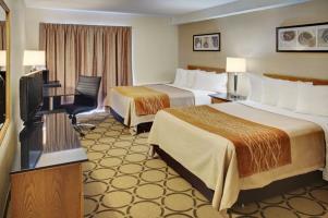 Hotel Comfort Inn (newmarket)