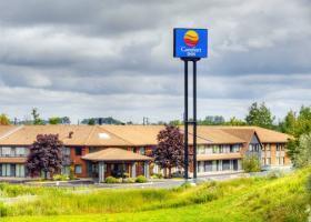 Hotel Comfort Inn (newmarket)