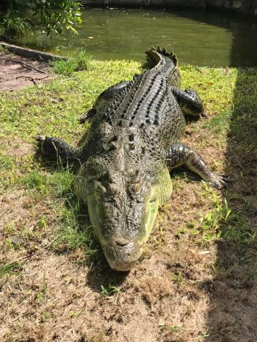 Hotel Corroboree Park Tavern