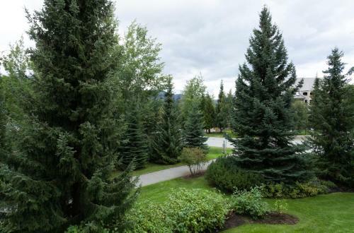 Apartamentos Greystone Lodge By Whistler Accommodation