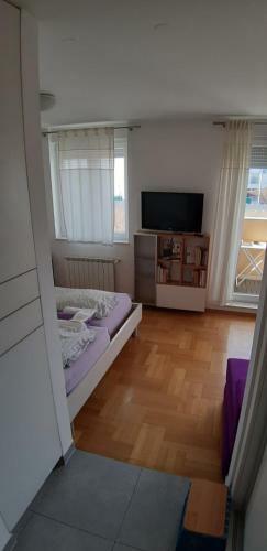 Apartment Otok