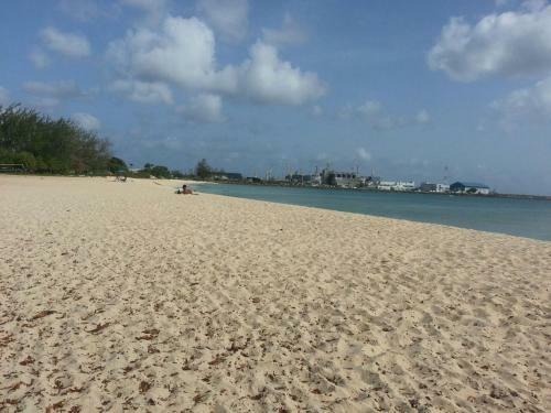 Beach Nest