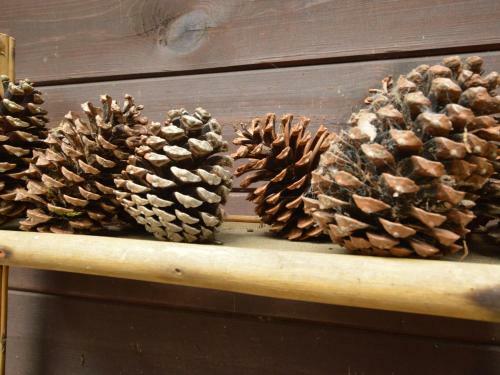 Chalet Boshuisje
