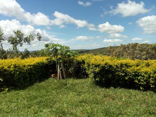 Fazenda Rosmaninho