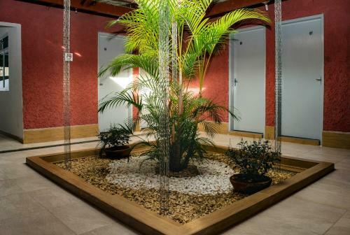 Bed & Breakfast Pousada Arax�