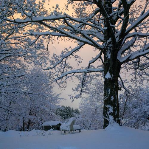 Picturesque School House Retreat