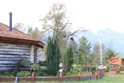 Lodge Complejo Tur�stico Ra�intu Epupillan