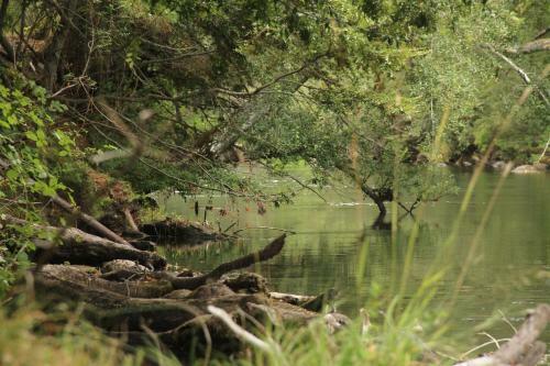 Lodge Complejo Tur�stico Ra�intu Epupillan