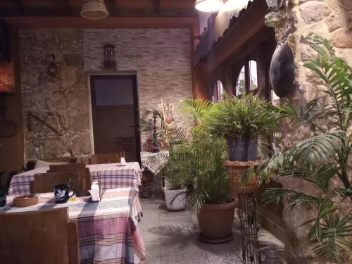Bed & Breakfast Secret Garden Walled City