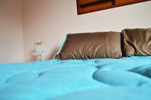 Hospedaje Camp�n