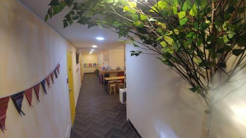 Albergue 24guesthouse Seomyun