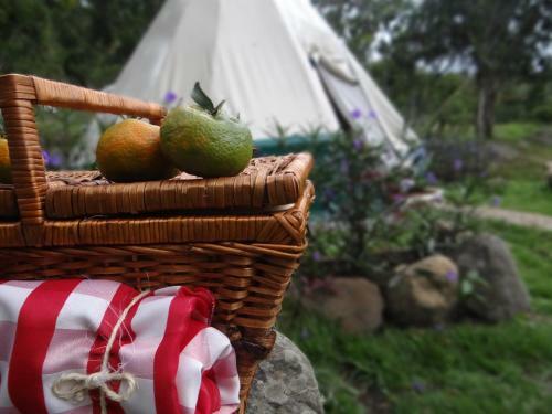 Glamping El Establo