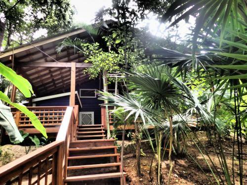 Apartamento Blue Island Divers Casa Descanso